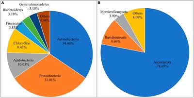 Intercropping changed the soil microbial community composition but no significant effect on alpha diversity